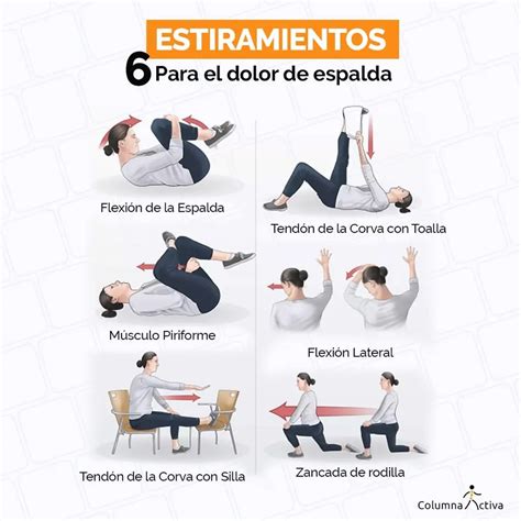 Cómo Estirar La Espalda Alta: Aliviar El Dolor Y Mejorar La Postura ...