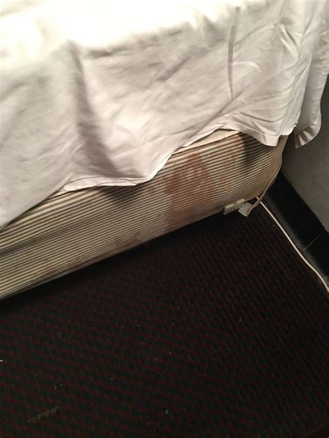 FRIENDSHIP CITY INN (Reidsville) - Specialty Inn Reviews & Photos ...