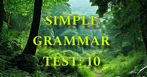 Simple Grammar Test: 10