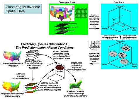 Image result for Spatial Pattern