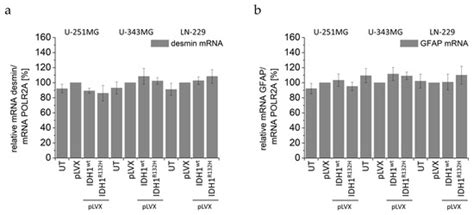 Radiosensitization and a Less Aggressive Phenotype of Human Malignant ...