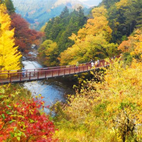 AKIGAWA VALLEY (2026) All You Need to Know BEFORE You Go (with Photos ...
