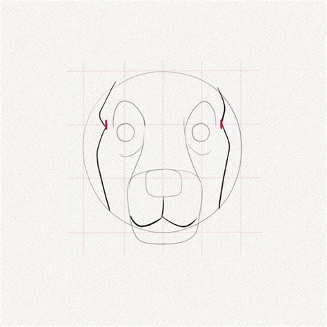 Image result for Dog Face Tutorial