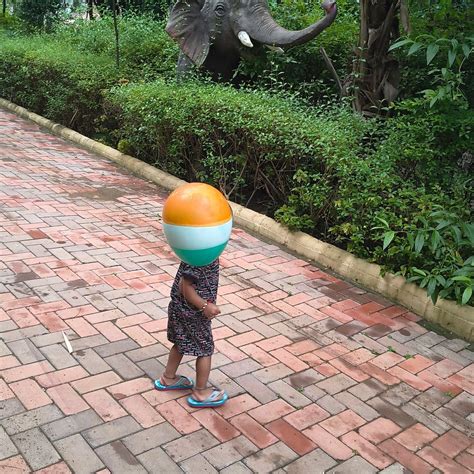 JHARNA RESORT (Zari) - Lodge Reviews, Photos, Rate Comparison - Tripadvisor