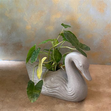 Buy Brass Pots & Planters Online in India | Best price– Sunshine Boulevard