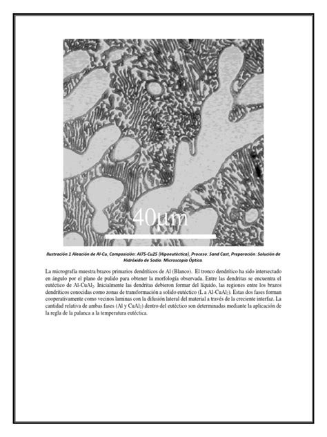 Image result for Atlas Micro of Microstructure Book