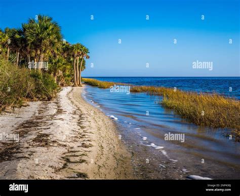 Shore of Gulf of Mexico, Saint Marks National Wildlife Refuge, Saint ...