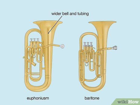 Image result for Baritone Mini Tuba