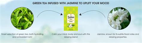 Typhoo Green Jasmine Tea, 25 Tea Bags (Pack of 2) : Amazon.in: Grocery ...