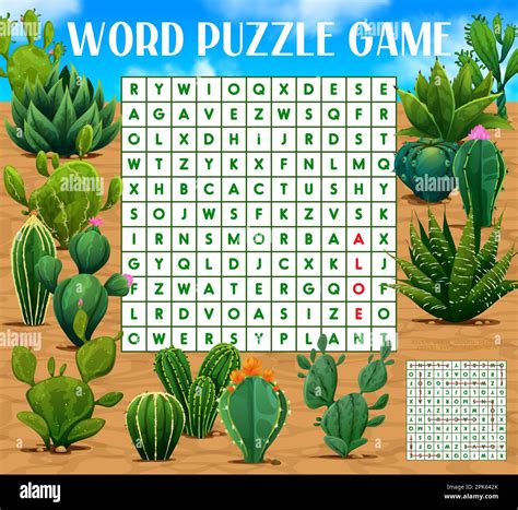 Mexican prickly cactus succulents, word search puzzle game, vector kids ...
