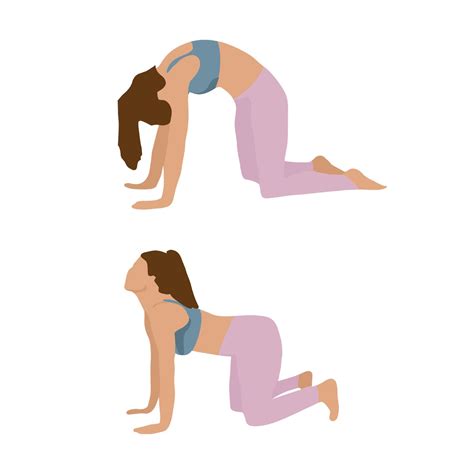 Exercises To Relieve Lower Back And Hip Pain - Infoupdate.org