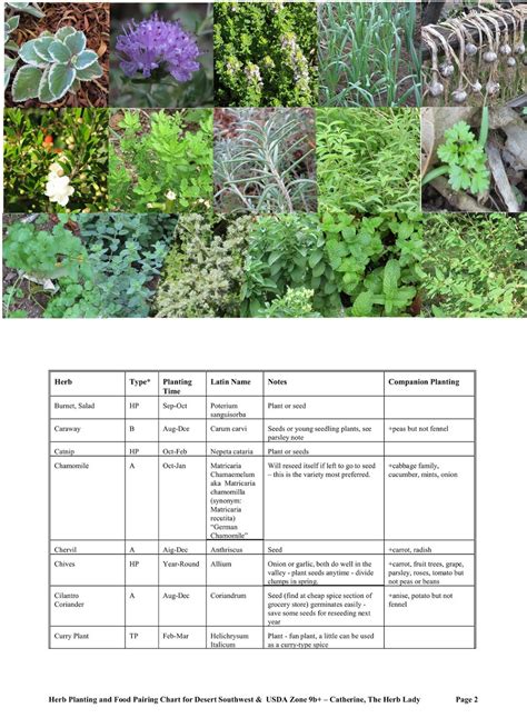 Herbs Growing Guide at William Reser blog
