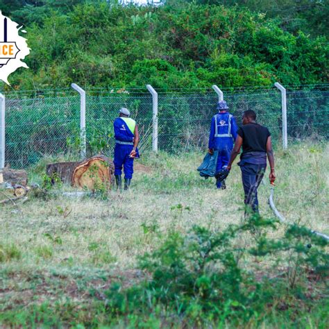 Chain-link Prices in Kenya: What to Consider