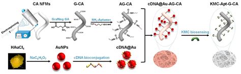 Bio-Tailored Sensing at the Nanoscale: Biochemical Aspects and Applications