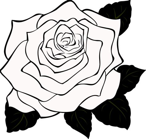 White Rose clip art - vector | Clipart Panda - Free Clipart Images