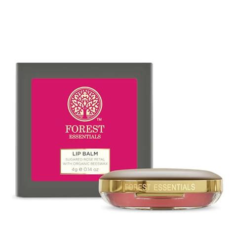 5 Must Have Lip Balm For Women To Keep Hydration Locked