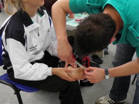 Summer combat sports camp | Kutina.in