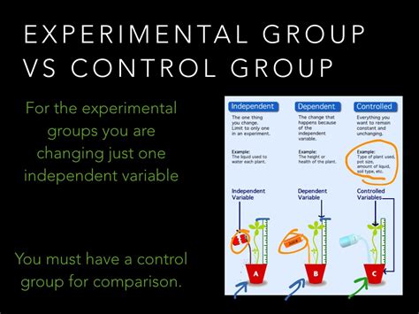 Example Control Group 的图像结果