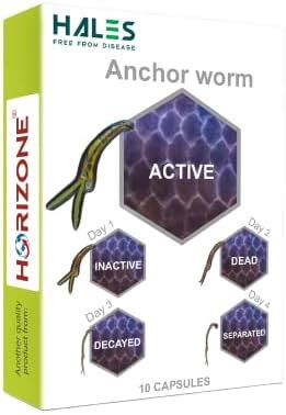 Buy Horizone Hales Anchor Worm Aquarium Fish External Parasite Remover ...