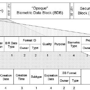 Image result for BioAPI Study Tips