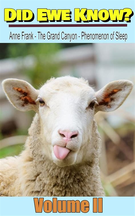 Did Ewe Know?: Don’t be an ewe, know the facts! eBook : Stephens ...