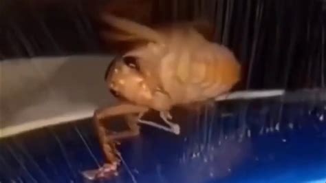 Image result for Alien Car YouTube