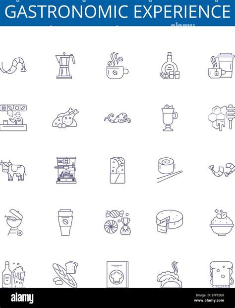 Gastronomic experience line icons signs set. Design collection of ...