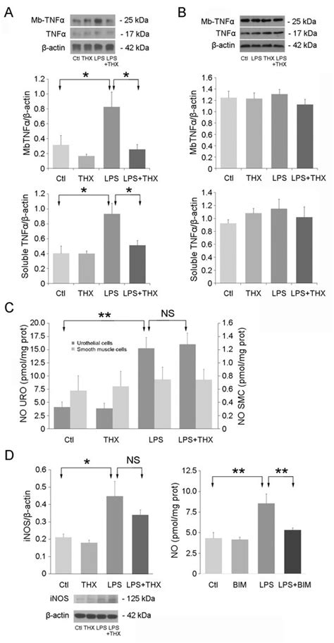 Life | An Open Access Journal from MDPI