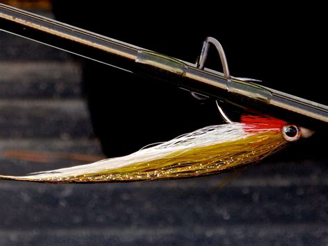 Image result for Fly Rod Set Up