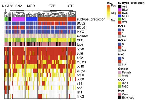 Image result for Lymphgen Algorithm