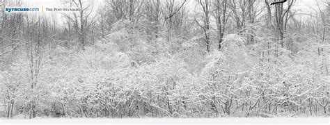 The Post-Star - The Post-Star added a new photo.