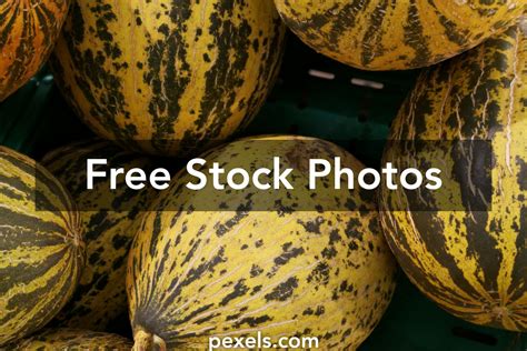 Melon Varieties Photos, Download The BEST Free Melon Varieties Stock ...