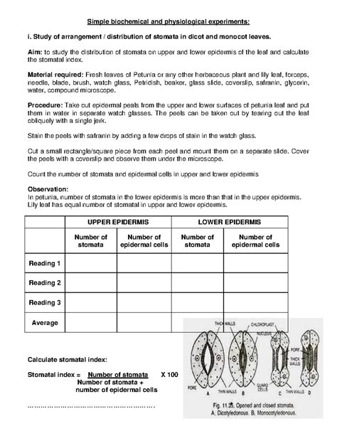 Biochemical Experiments 的图像结果