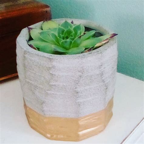 THE EDGE CLIMBING GYM (2025) All You Need to Know BEFORE You Go (with ...