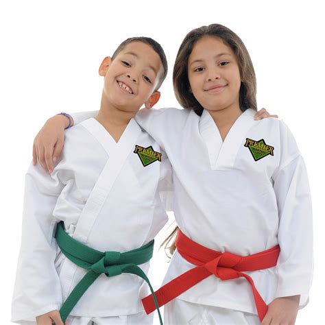 Karate Classes & Martial Arts in Highland Creek, NC