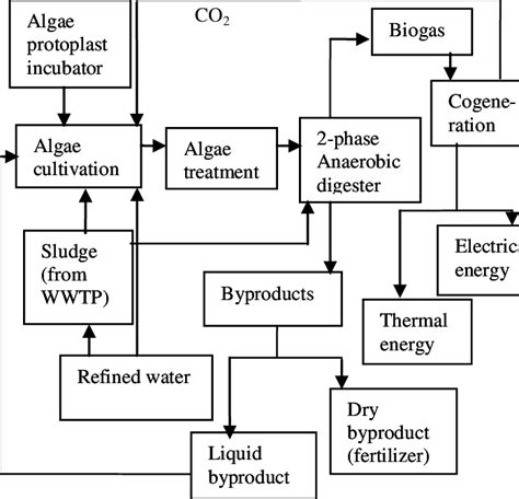 Production System 的图像结果