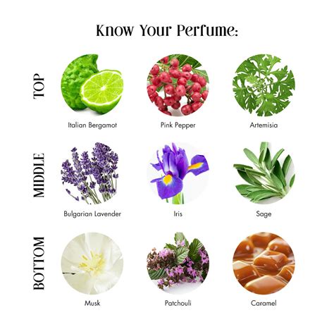 Midnight Patchouli- Clean Perfume™ (Parfum) – Secret Alchemist