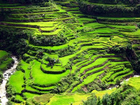 Banaue Rice Terraces Wallpapers - Top Free Banaue Rice Terraces ...