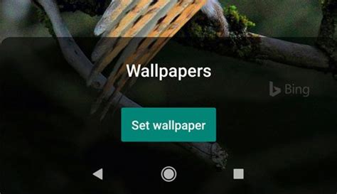 Bing Wallpaper for Android 的图像结果