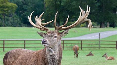 Zoos and Wildlife Parks | Attractions Near Me