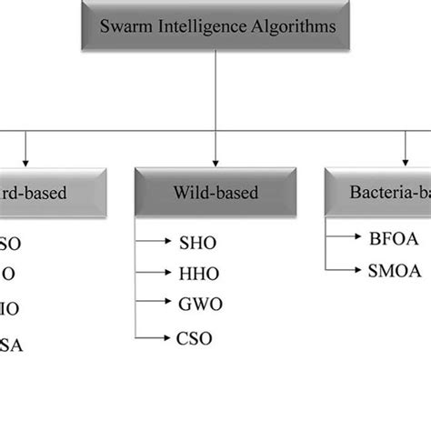 Image result for Swarm Intelligence Based Optimization Algorithm