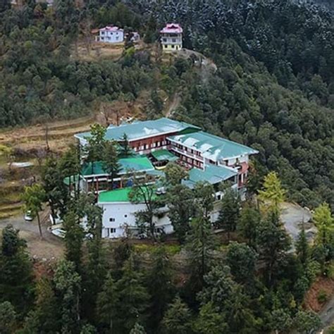 Treehouse Hotels, Resorts and Serviced Apartments