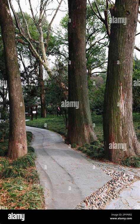 Image result for Building a Rustic Pathway