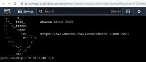 Image result for Nginx Amazon Linux 2