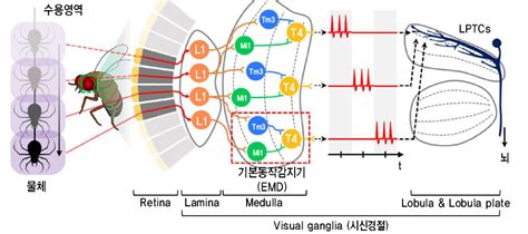 Image result for Emix Composition