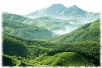 Amazing 6 Days Munnar Friends Trip Package | Munnar, Thekkady, Alleppey ...