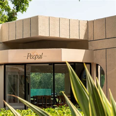 Peepal Cafe & Diner, Siri Fort Road, New Delhi | Zomato