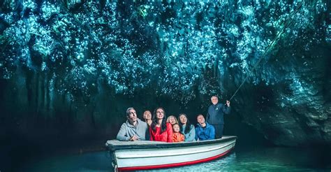 Waitomo Glowworm Caves: Pesona Gua Bercahaya Selandia Baru : Decology