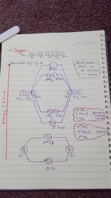 Write MOT Diagrams for nitrogen molecule and oxygen molecule ,calculate ...