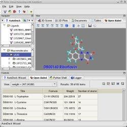 Image result for Docking PyRx Software
